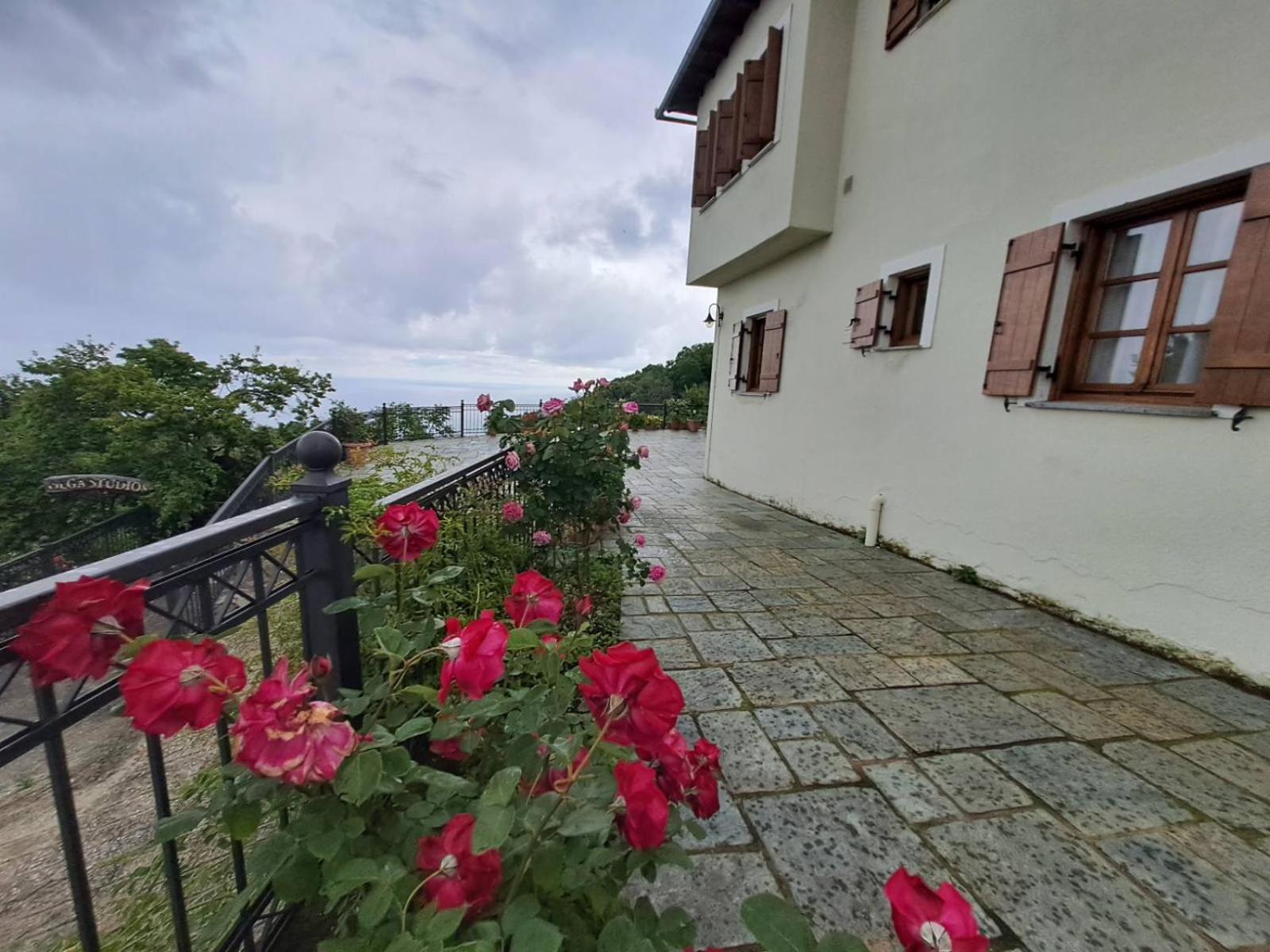 Olga Studios Tsagkarada Exterior foto