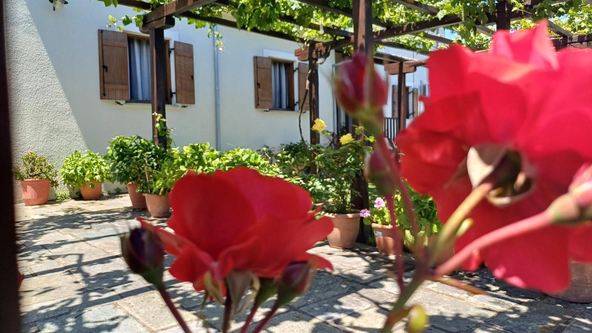 Olga Studios Tsagkarada Exterior foto